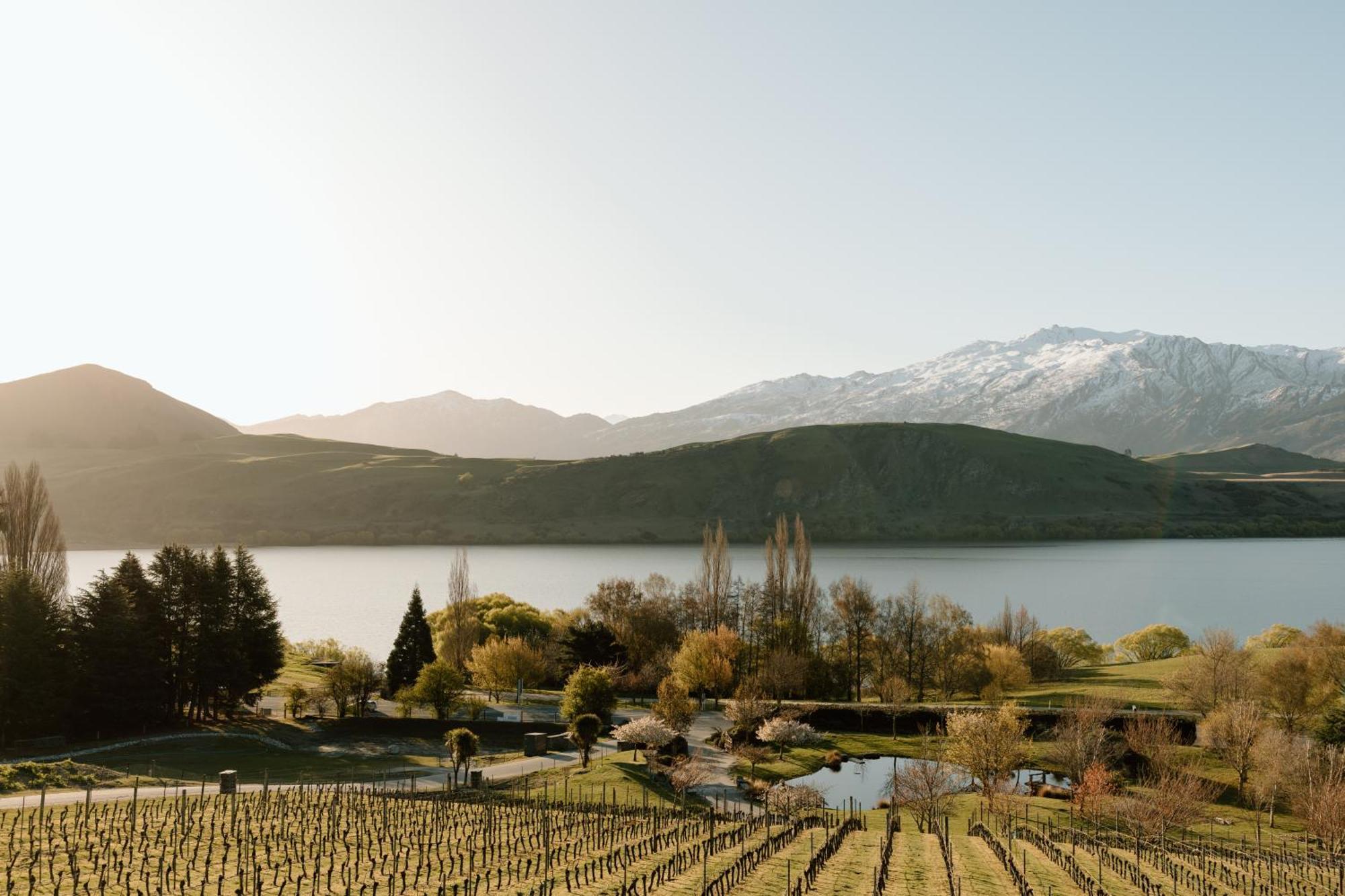Stoneridge Estate Hotell Queenstown Eksteriør bilde