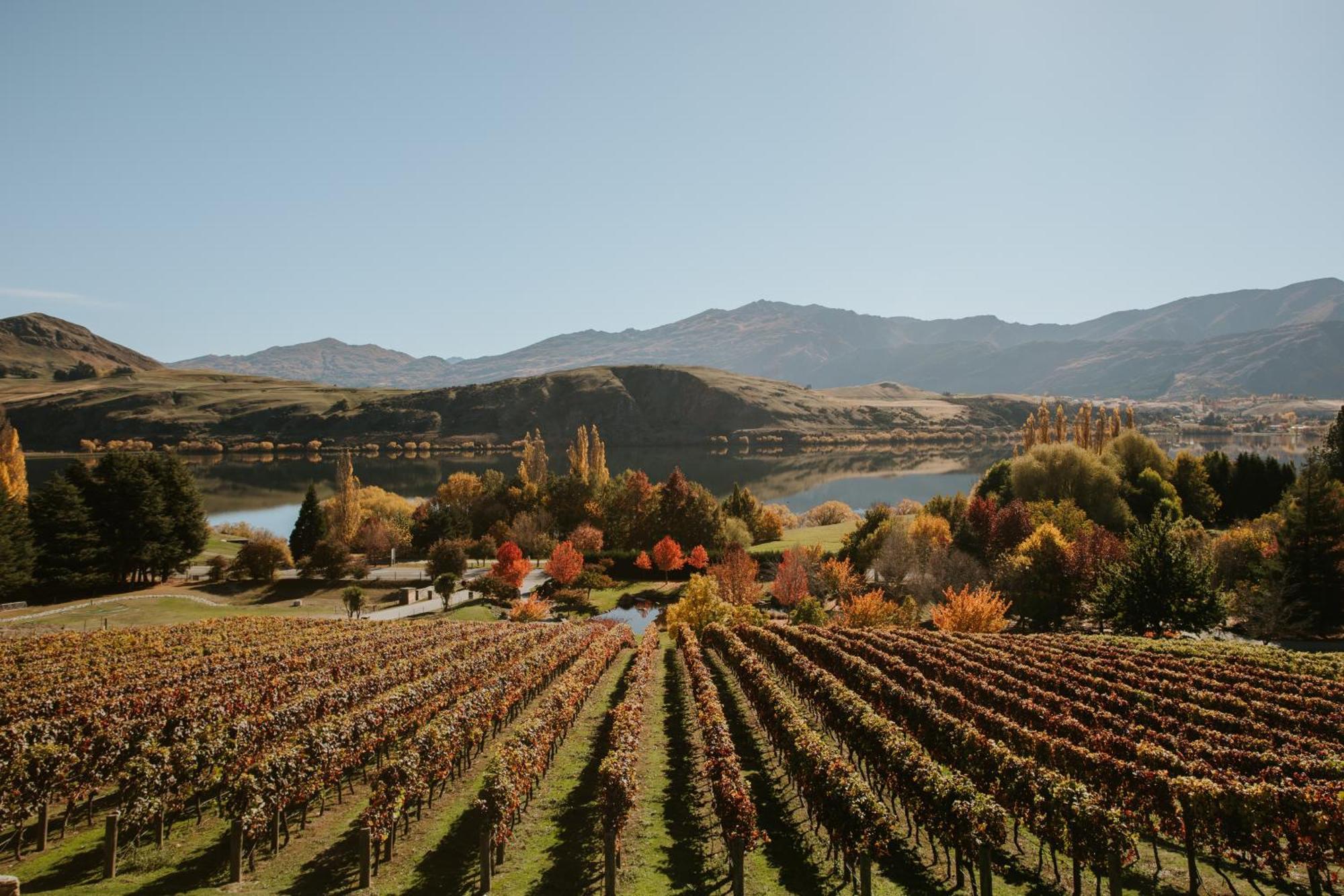 Stoneridge Estate Hotell Queenstown Eksteriør bilde